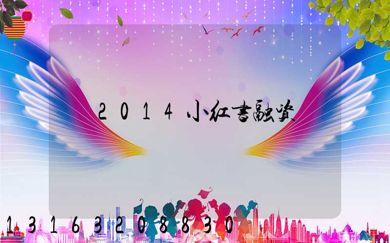2014小红书融资