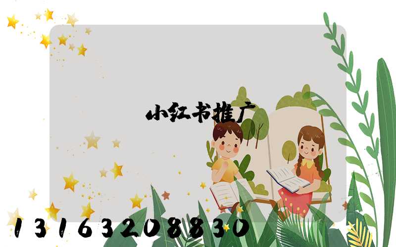 DR小红书推广