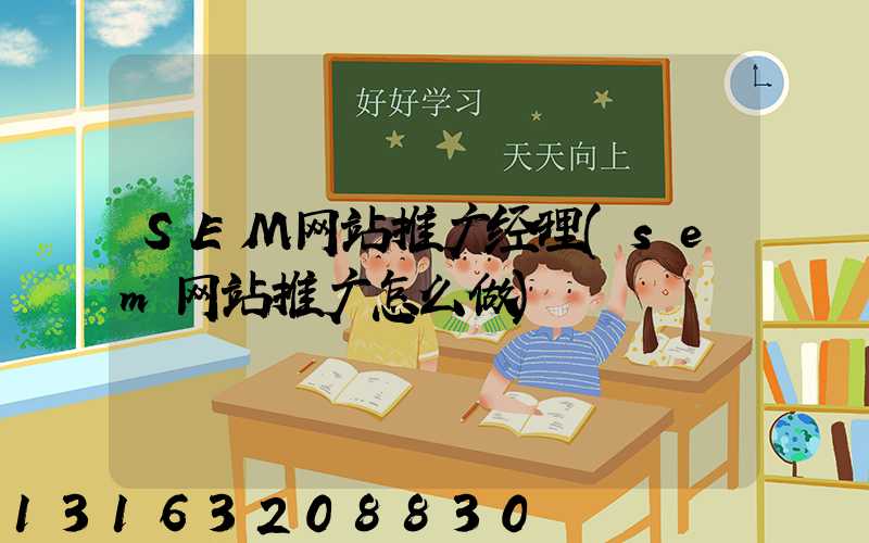 SEM网站推广经理(sem网站推广怎么做)