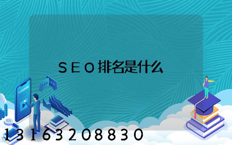 SEO排名是什么