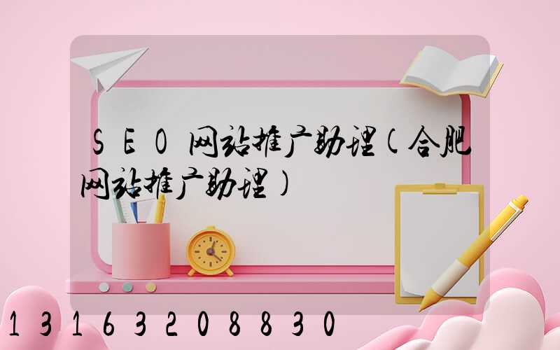 SEO网站推广助理(合肥网站推广助理)