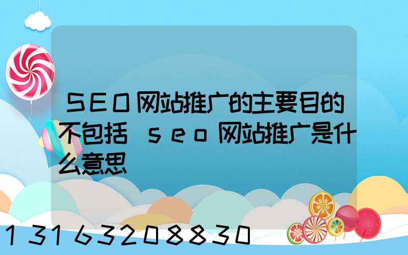 SEO网站推广的主要目的不包括(seo网站推广是什么意思)