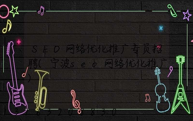 SEO网络优化推广专员招聘(宁波seo网络优化推广)
