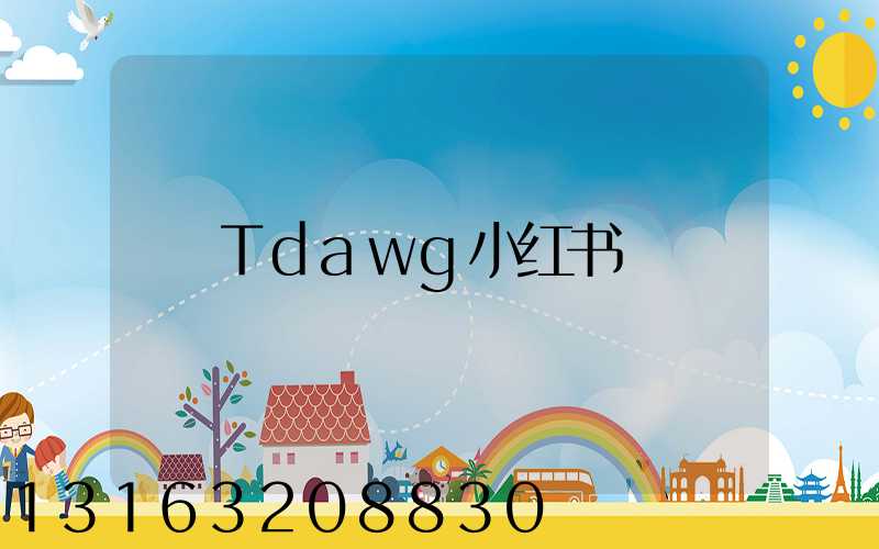 Tdawg小红书