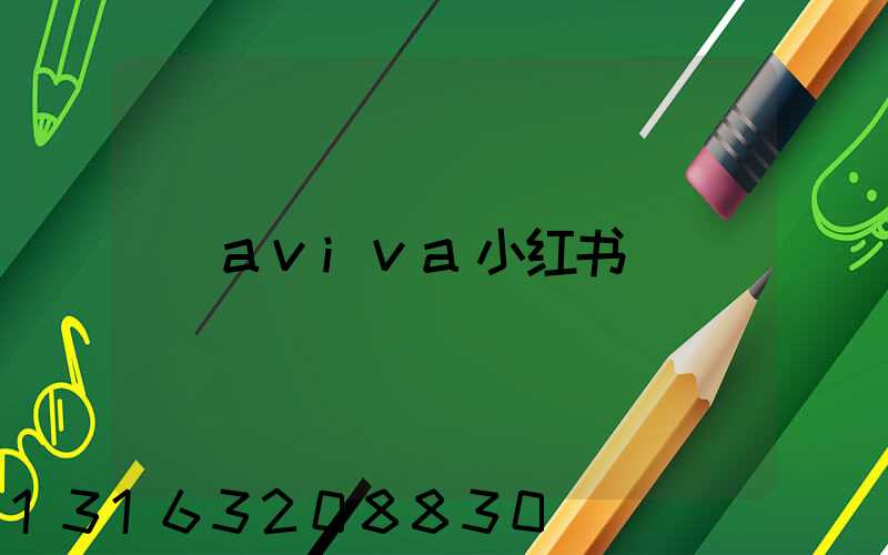 aviva小红书