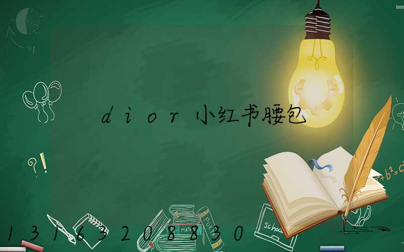 dior小红书腰包