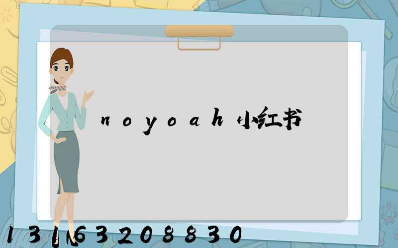 noyoah小红书