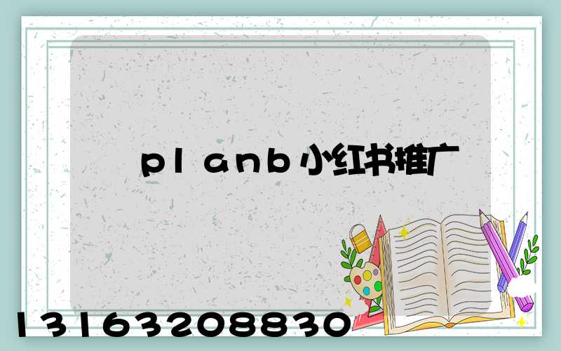 planb小红书推广
