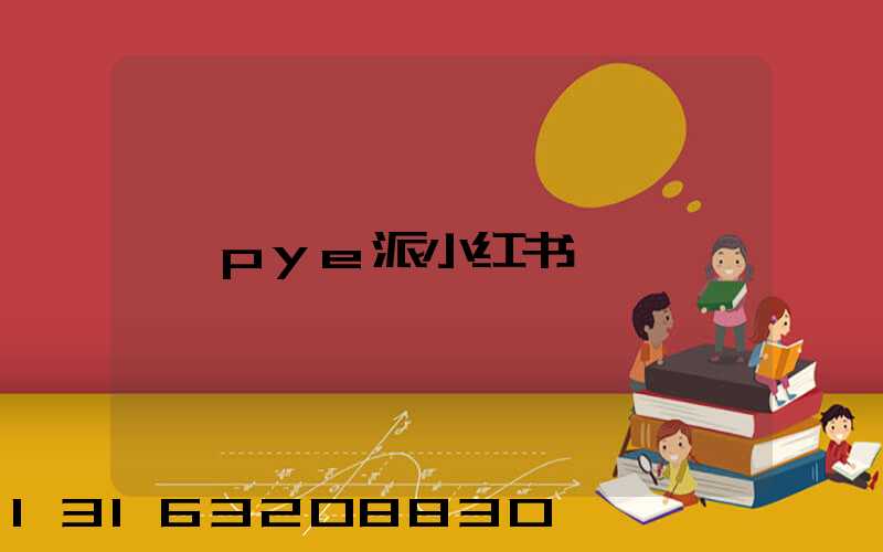 pye派小红书