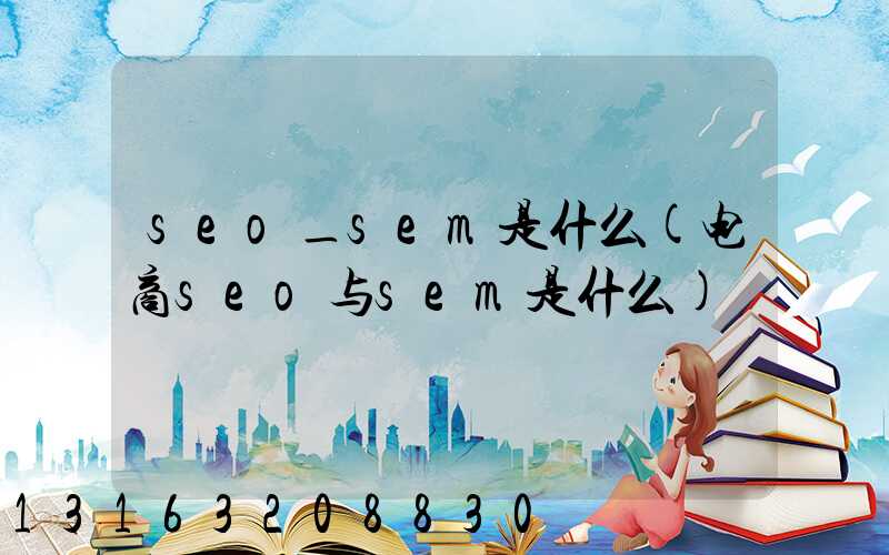 seo_sem是什么(电商seo与sem是什么)