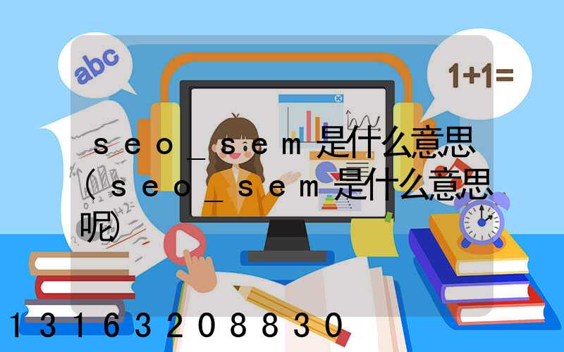 seo_sem是什么意思(seo_sem是什么意思呢)