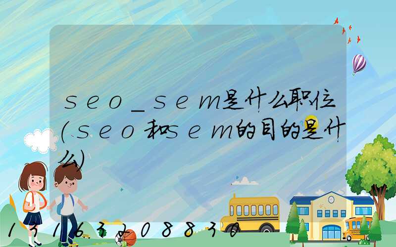 seo_sem是什么职位(seo和sem的目的是什么)