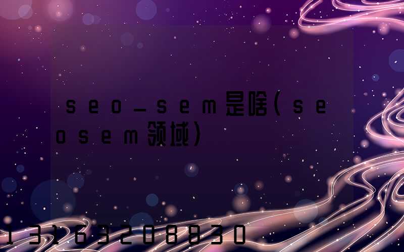 seo_sem是啥(seosem领域)