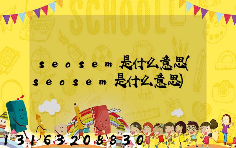seosem是什么意思(seosem是什么意思)