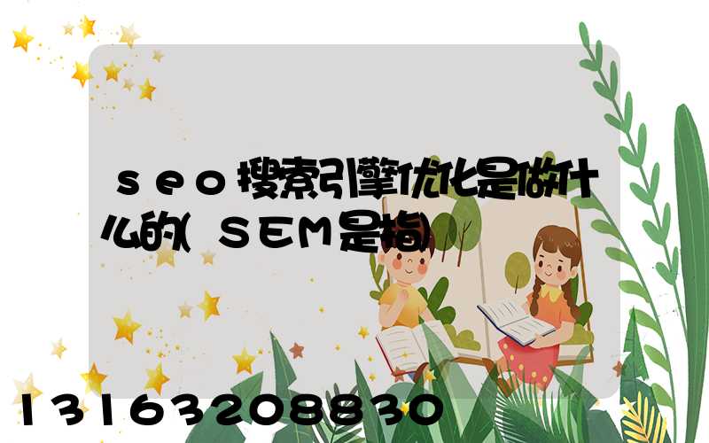 seo搜索引擎优化是做什么的(SEM是指)