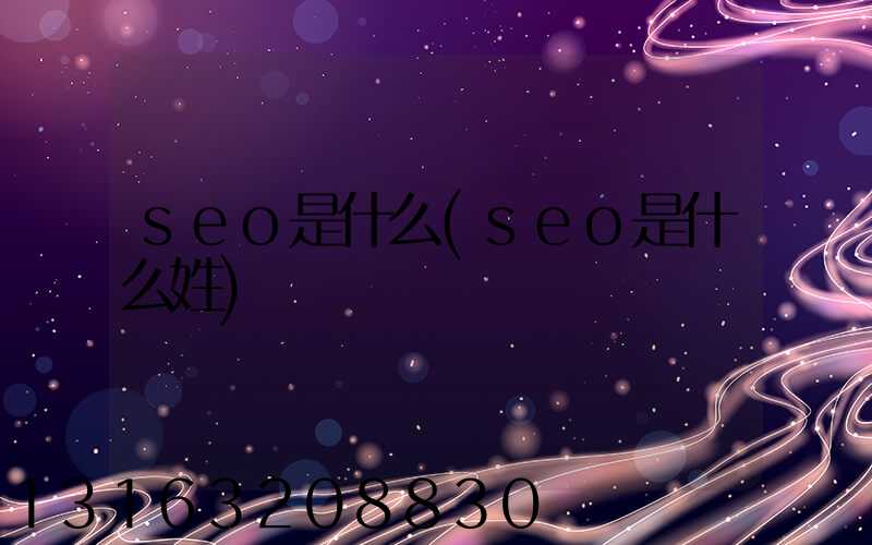 seo是什么(seo是什么姓)