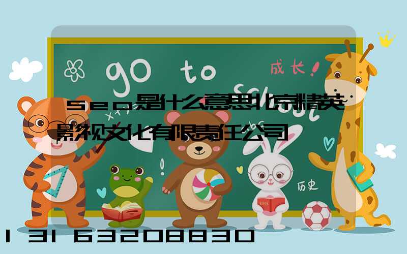 seo是什么意思北京精英影视文化有限责任公司