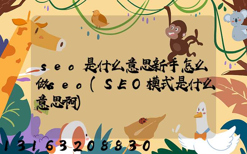seo是什么意思新手怎么做seo(SEO模式是什么意思啊)