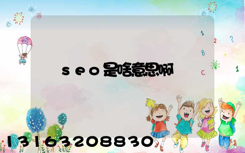 seo是啥意思啊