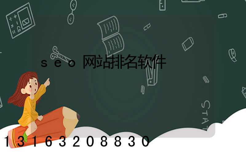 seo网站排名软件