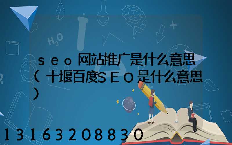 seo网站推广是什么意思(十堰百度SEO是什么意思)