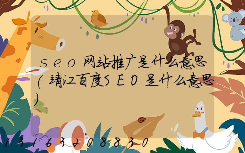 seo网站推广是什么意思(靖江百度SEO是什么意思)