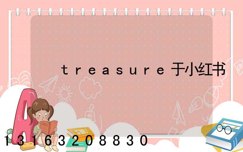 treasure于小红书