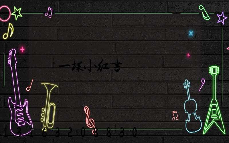一棵小红书