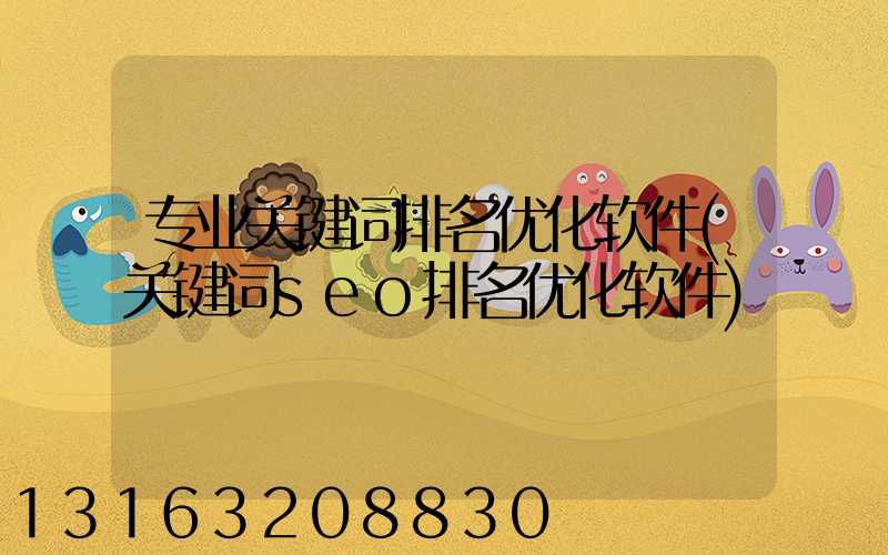 专业关键词排名优化软件(关键词seo排名优化软件)