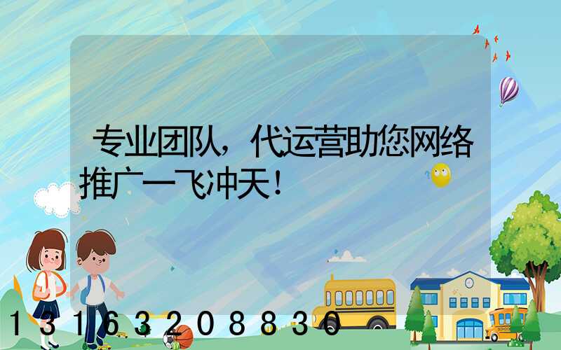 专业团队，代运营助您网络推广一飞冲天！