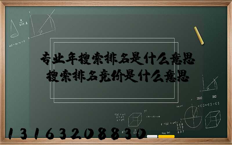 专业年搜索排名是什么意思(搜索排名竞价是什么意思)
