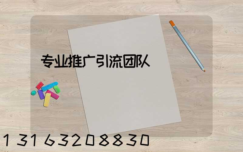 专业推广引流团队