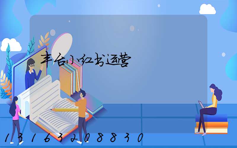 丰台小红书运营