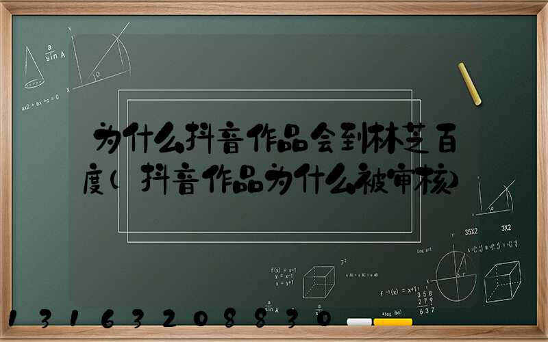 为什么抖音作品会到林芝百度(抖音作品为什么被审核)