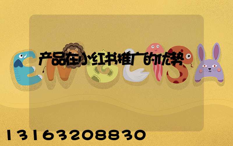 产品在小红书推广的优势