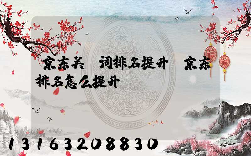 京东关键词排名提升(京东排名怎么提升)