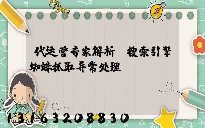 代运营专家解析：搜索引擎蜘蛛抓取异常处理