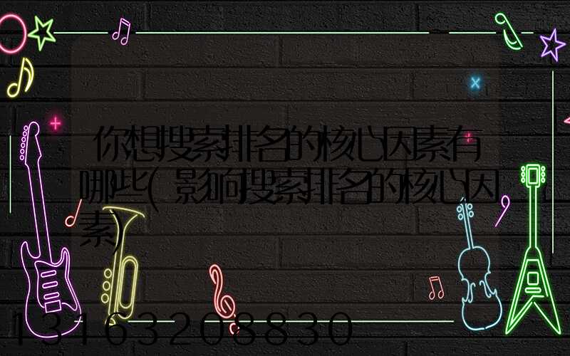 你想搜索排名的核心因素有哪些(影响搜索排名的核心因素)