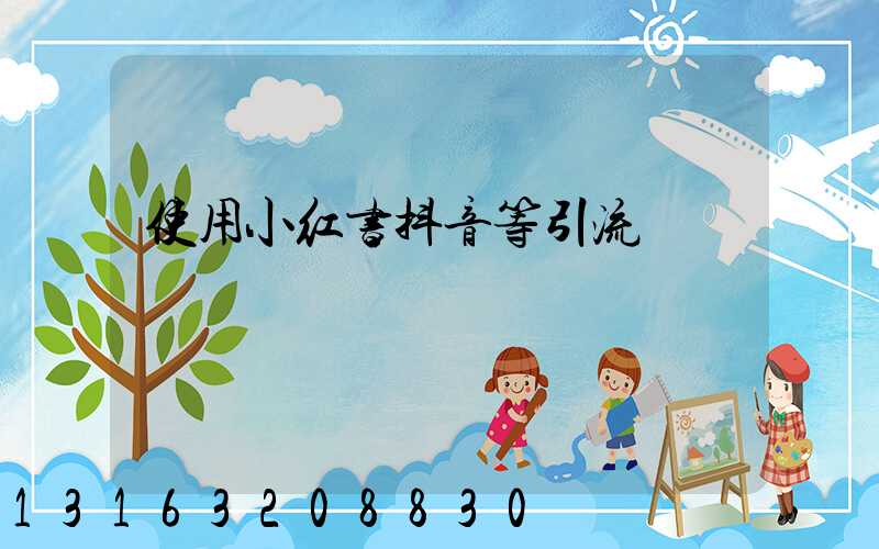 使用小红书抖音等引流