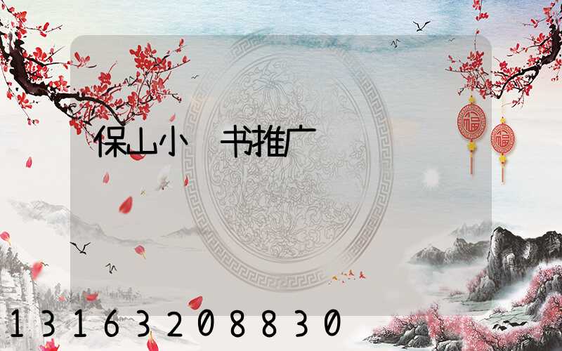 保山小红书推广
