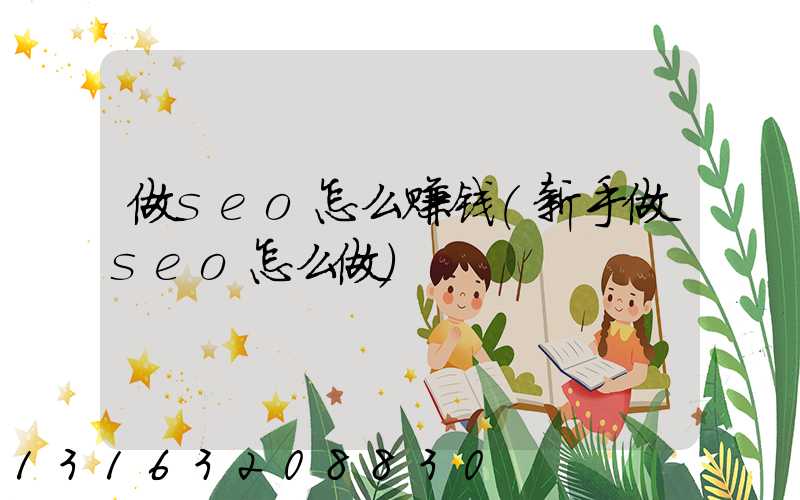 做seo怎么赚钱(新手做seo怎么做)