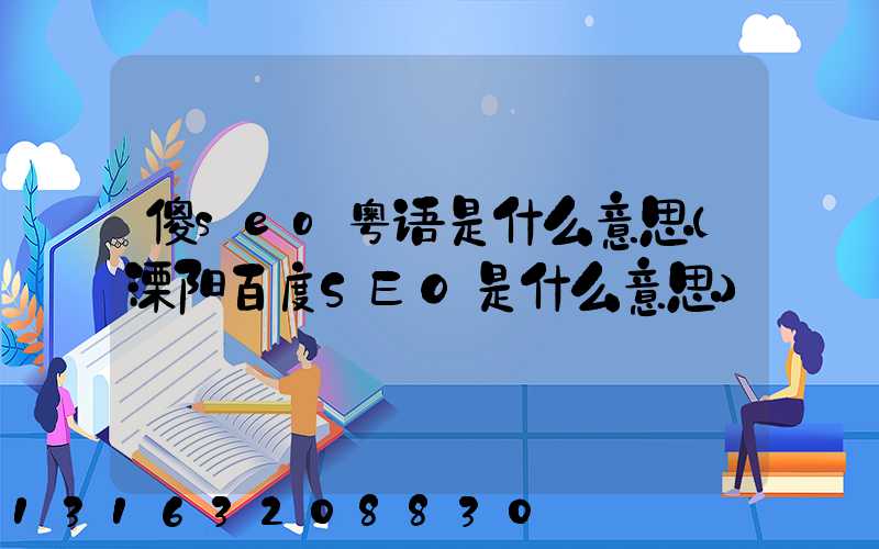 傻seo粤语是什么意思(溧阳百度SEO是什么意思)