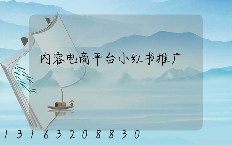 内容电商平台小红书推广