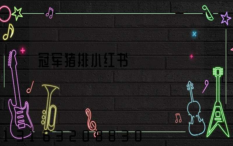 冠军猪排小红书