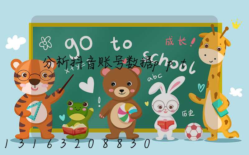 分析抖音账号数据ppt