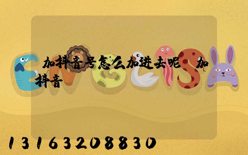 加抖音号怎么加进去呢(加抖音)