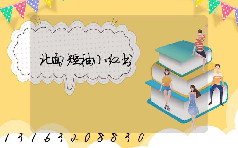 北面短袖小红书
