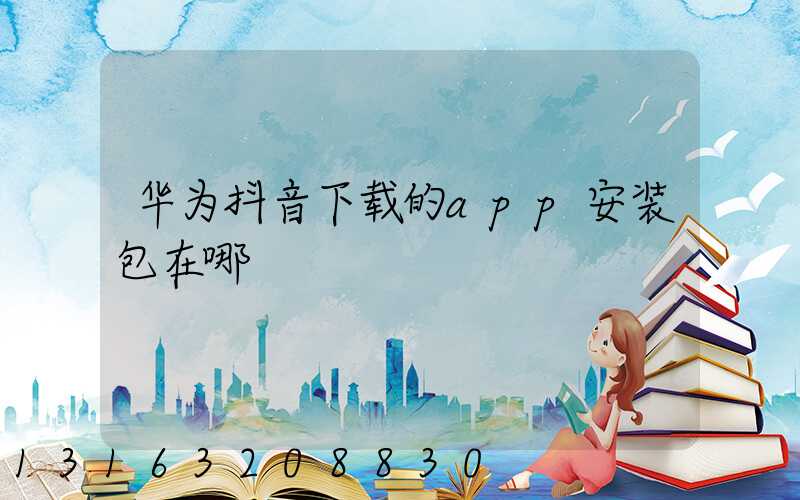 华为抖音下载的app安装包在哪