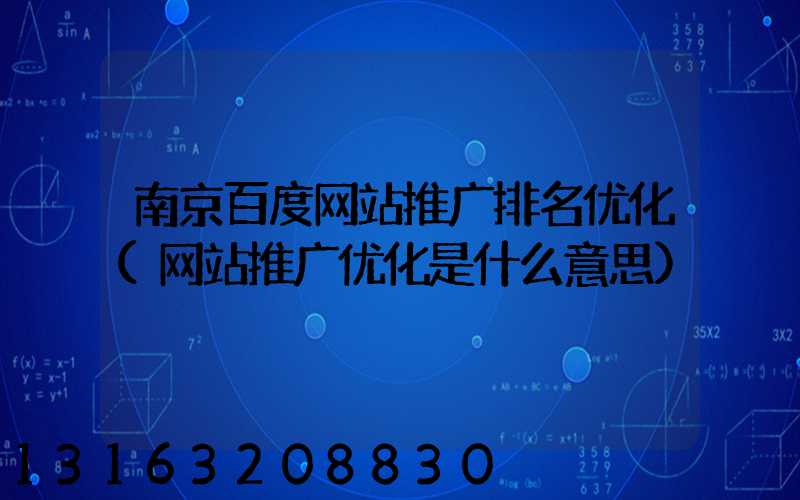 南京百度网站推广排名优化(网站推广优化是什么意思)