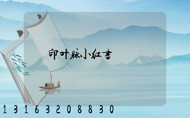 印叶脉小红书